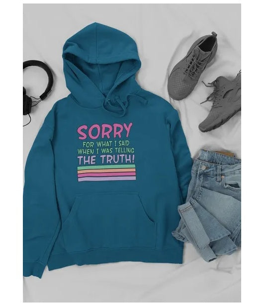 Sorry For What I Said When I Was Telling The Truth Hoodie